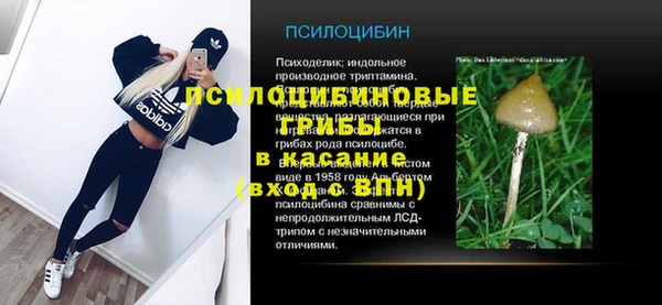 дмт Алексеевка