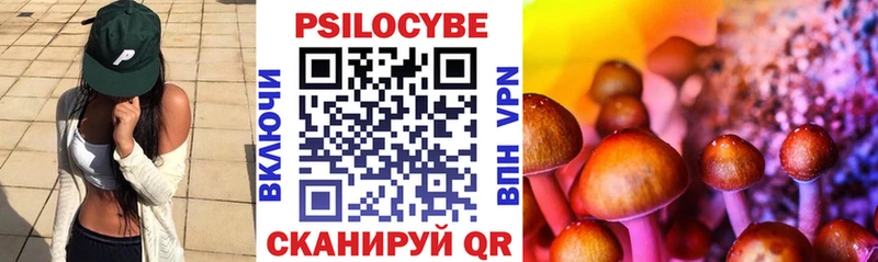 Псилоцибиновые грибы прущие грибы  Кизилюрт 